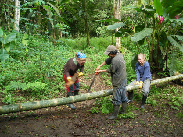 conservation islas galapagos