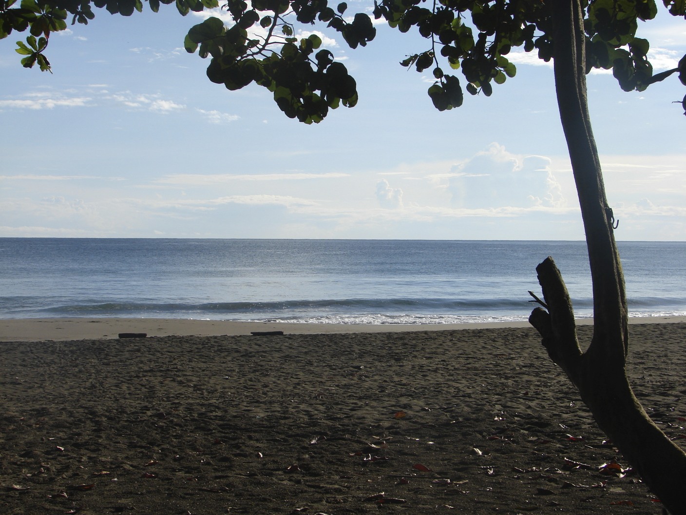 Playa Negra en Puerto Viejo