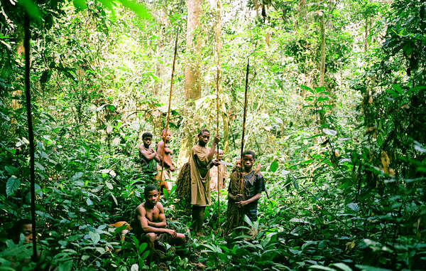 26-2-16 congo selvas