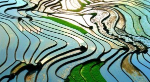 lao-cai-1139585_960_720