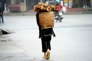 vietnam-896307_960_720