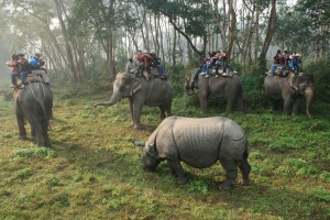 chitwan-national-park