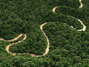 amazonas-08