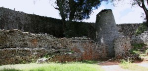 gran-zimbabwe