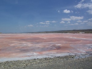 lakemagadi
