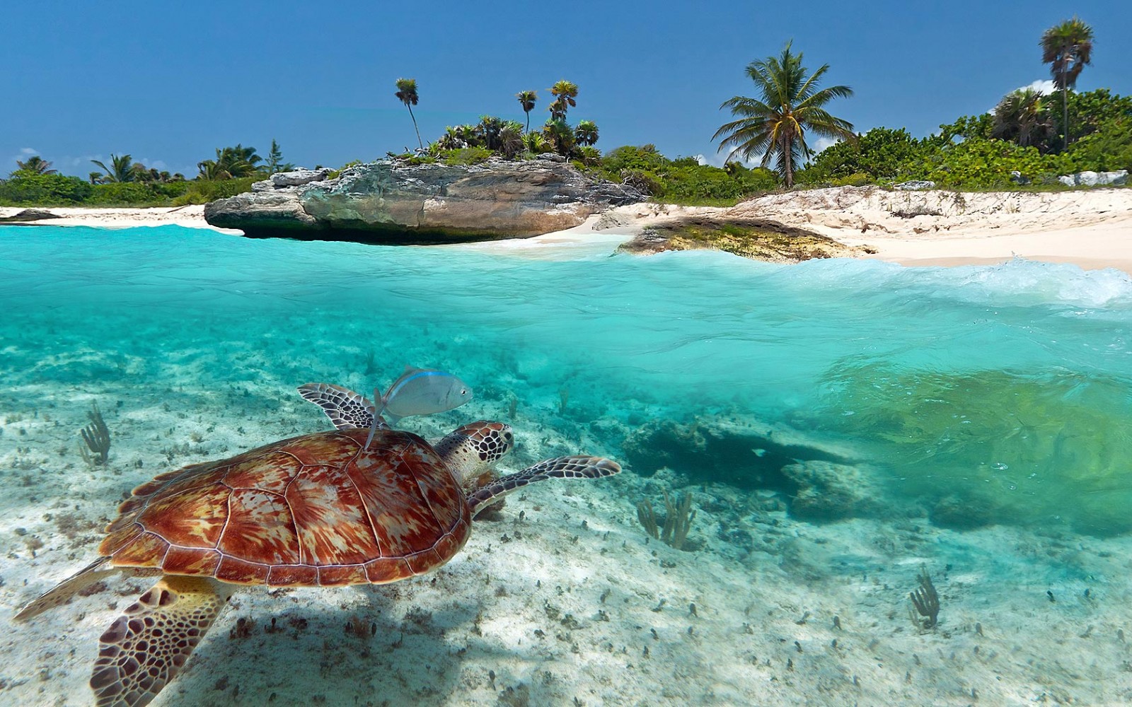 playa-del-carmen