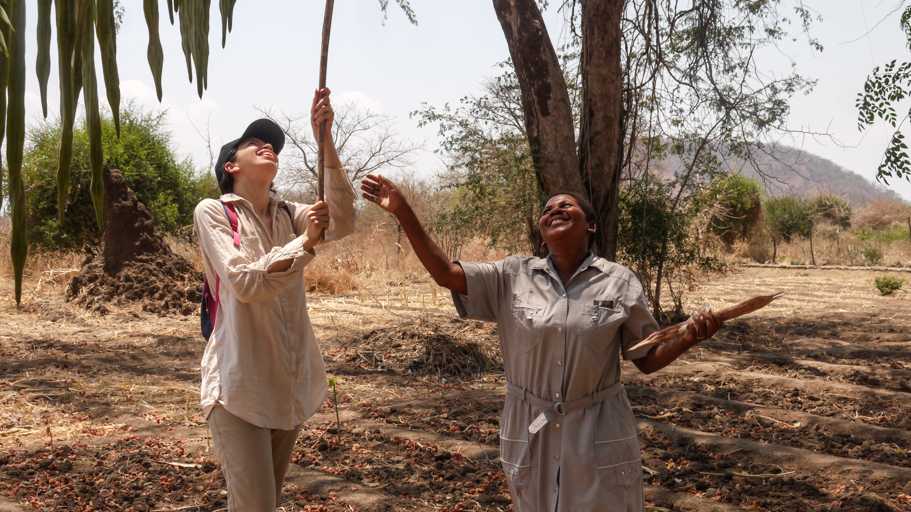 Malawi Medio ambiente