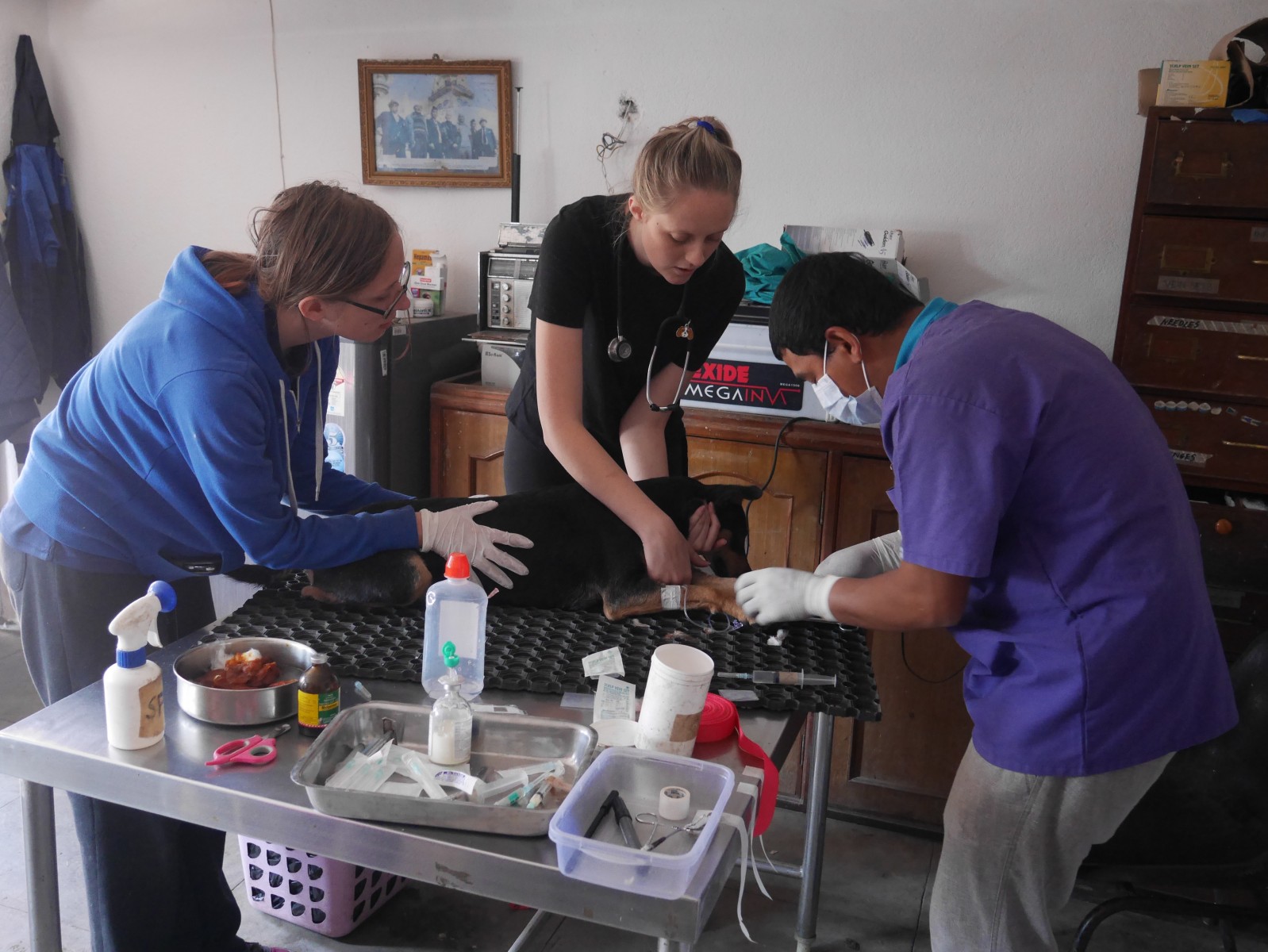 Nepal rehabilitación canina