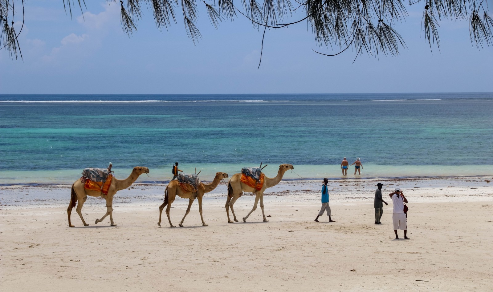 playas kenia voluntariado