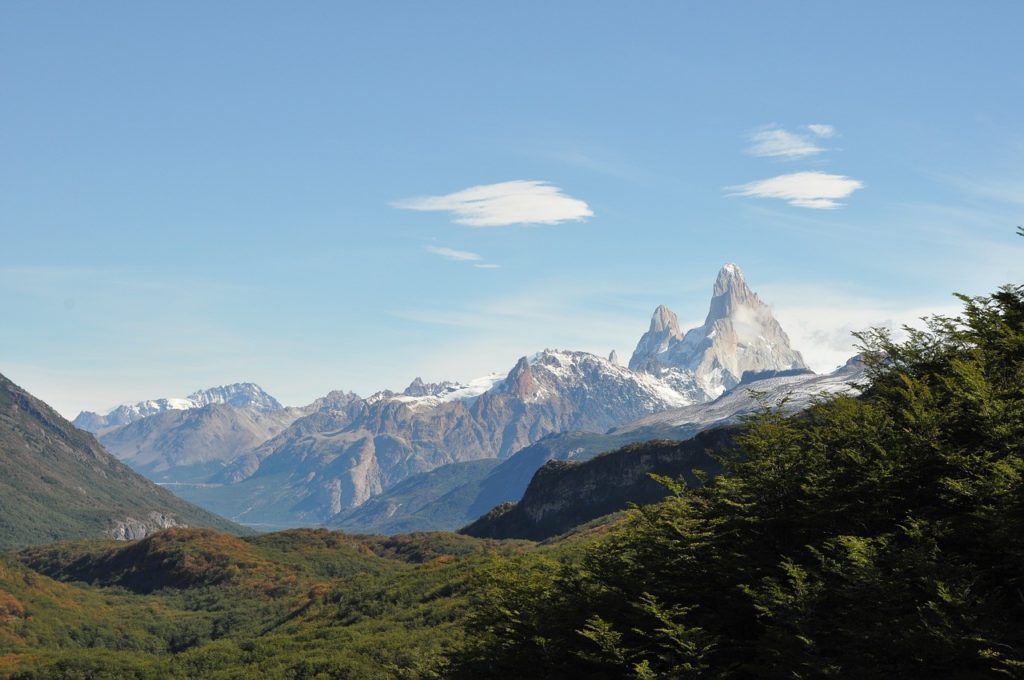tipos voluntariado américa latina