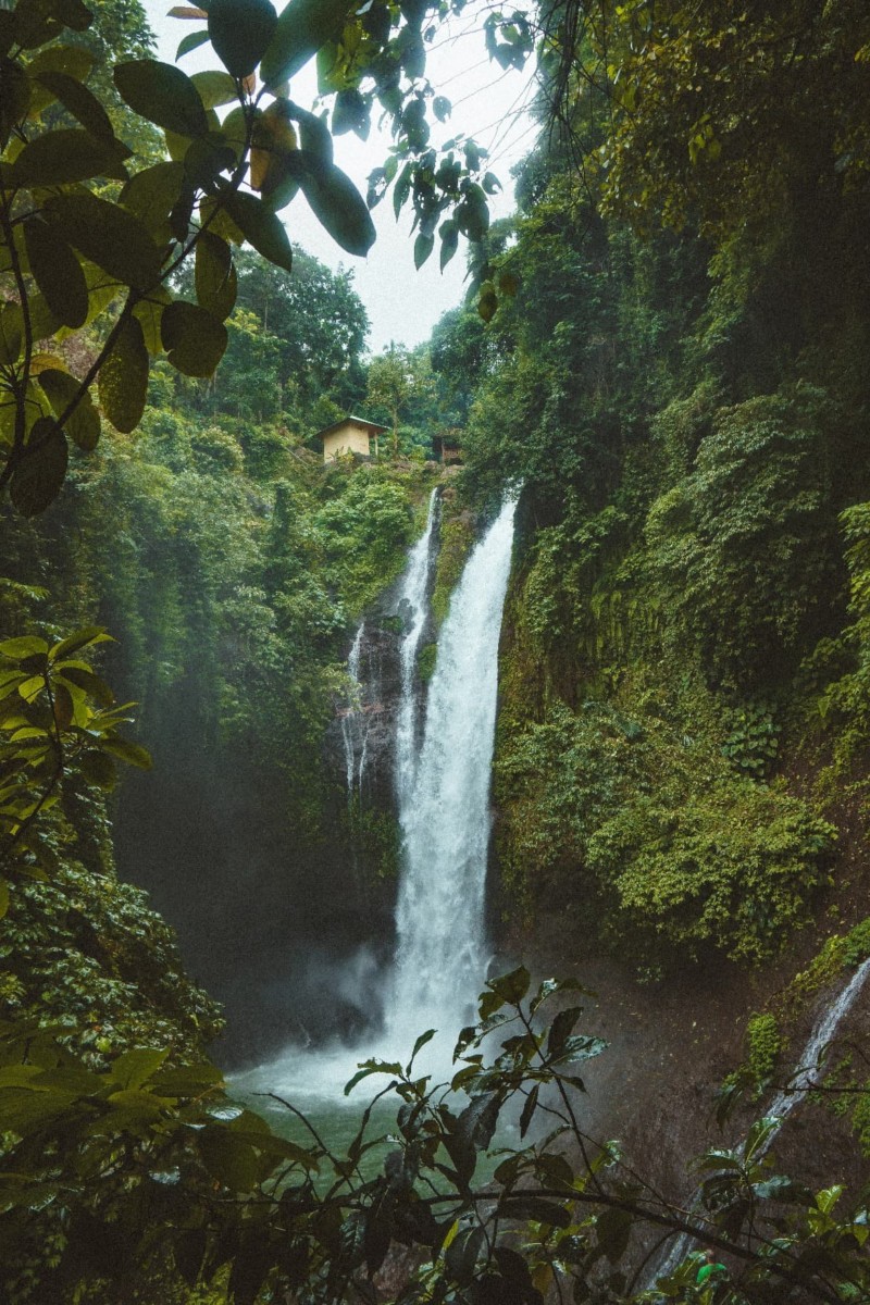 La isla de Bali Cooperating Volunteers