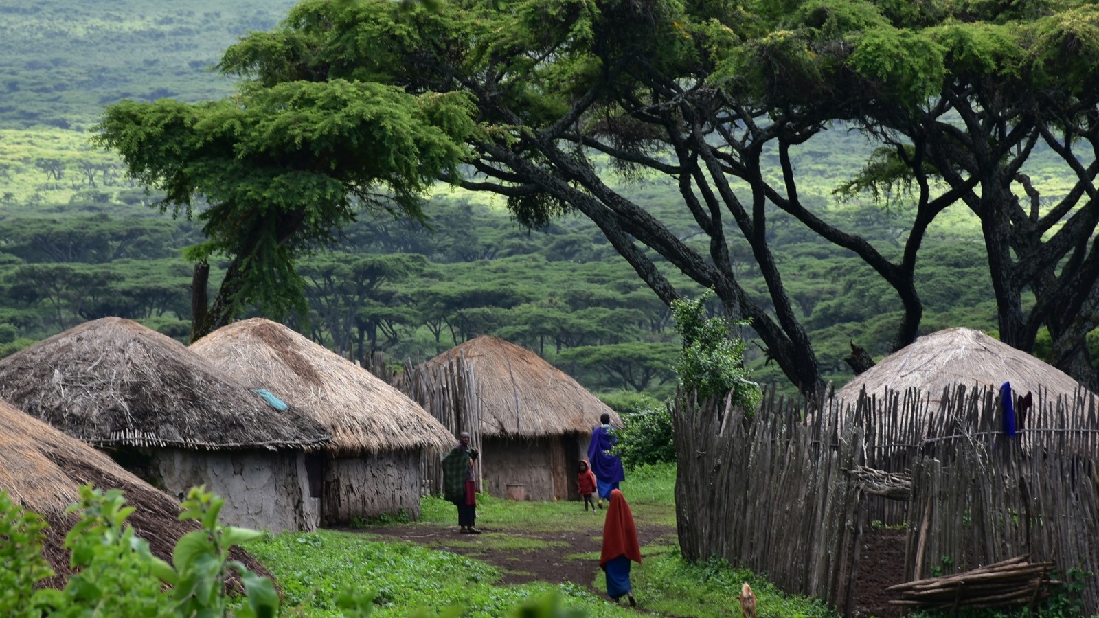 Pueblo Masai Cooperating Volunteers