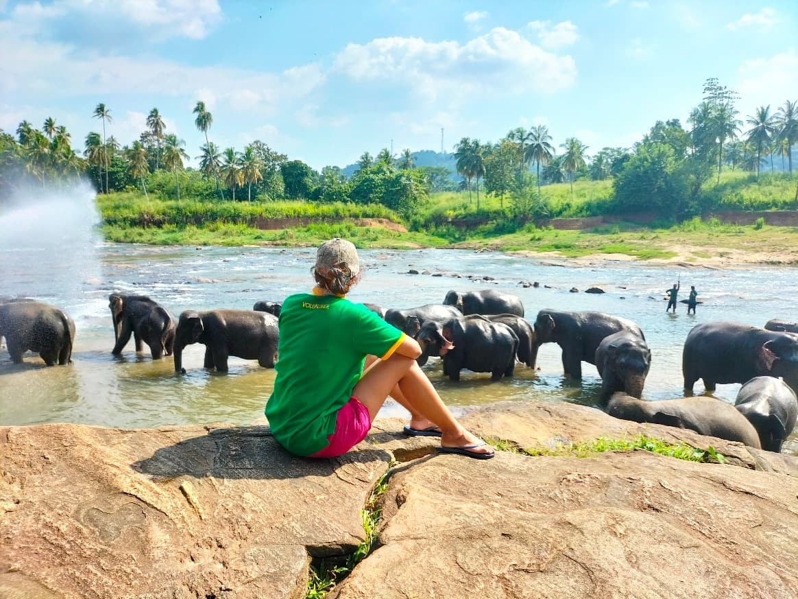 Conservación elefantes en Sri Lanka